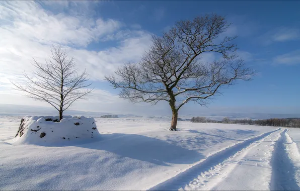 Картинка зима, дорога, поле