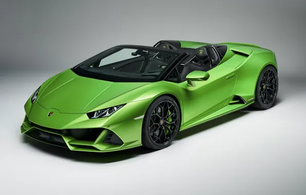 Lamborghini, Spyder, Evo, Huracan, 2019, Lamborghini Huracan Evo