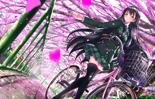 Картинка девушка, деревья, велосипед, аниме, лепестки, сакура, арт, форма