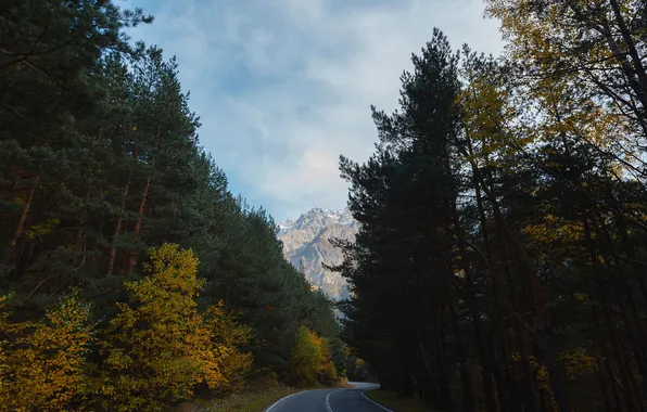 Картинка пейзаж, природа, Батраз Табуев, дорога в горы