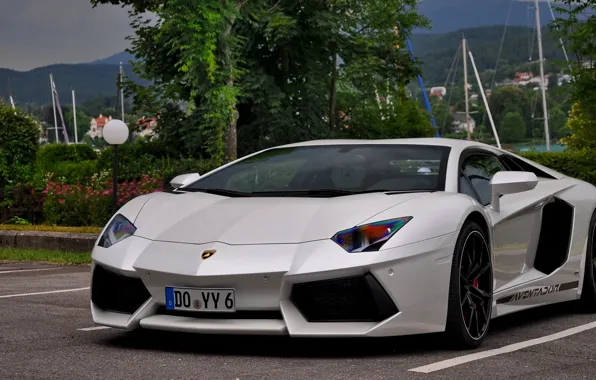 Картинка Lamborghini, White, Aventador, Parking