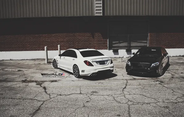 TUNING, WALD, MERCEDES, BENZ, BLACK BISON, W222, S-CLASS