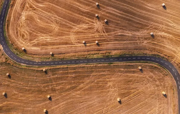 Дорога, поле, сено