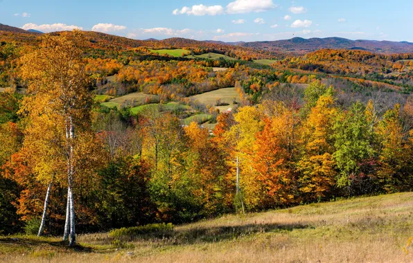 Осень, солнце, деревья, холмы, поля, США, леса, Vermont