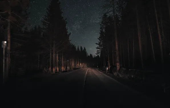 Картинка дорога, лес, небо, свет, деревья, ночь, звёзды, сосны