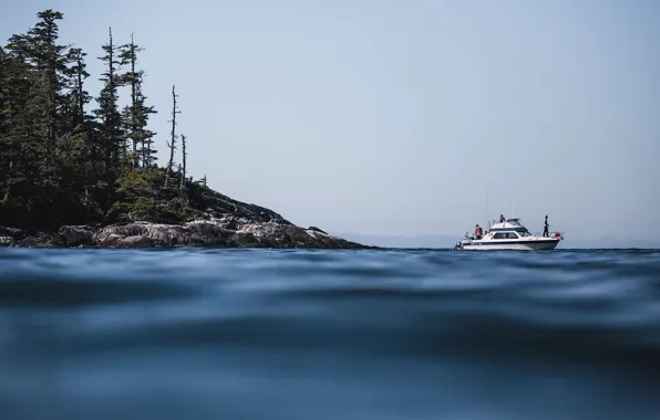 Море, побережье, лодка, утро, дымка, рыбаки, Kanada, Digby Island