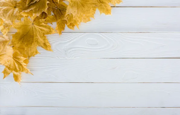 Осень, листья, фон, дерево, доски, wood, background, autumn