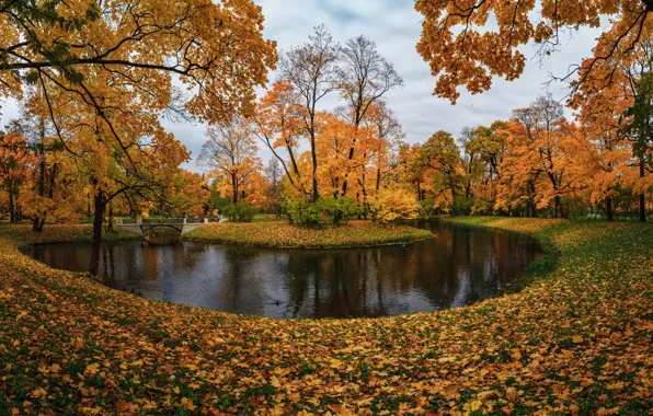 Осень, деревья, пруд, парк, Санкт-Петербург, Россия, островок, опавшие листья
