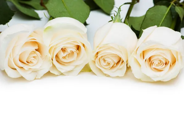 Картинка букет, бокалы, white, белые розы, flowers, roses