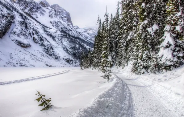 Картинка дорога, лес, снег, горы, trees, landscape, nature, winter