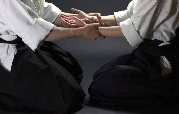 Руки, Aikido, ntgfa, хакама, Ivashkina