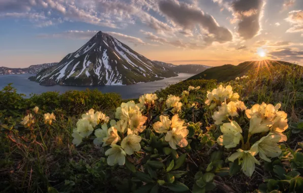 Картинка цветы, горы, озеро, восход, рассвет, утро, вулкан, Россия