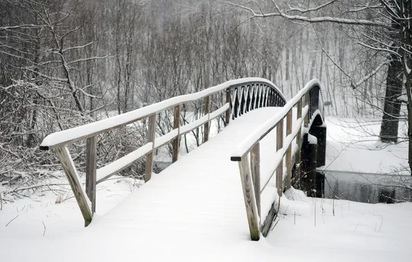 Холод, зима, деревья, мост, парк, заснеженный, Snowbound bridge