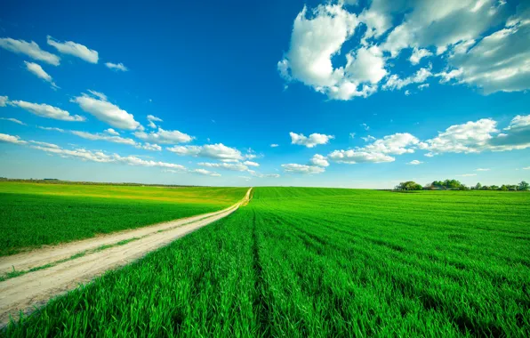Картинка дорога, зелень, поле, небо, трава, облака