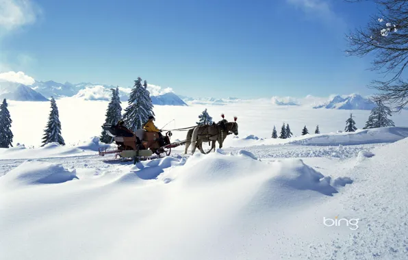 Картинка зима, небо, солнце, облака, свет, снег, горы, люди, настроение, елка, ель, лошади, горизонт, мороз, сани, …