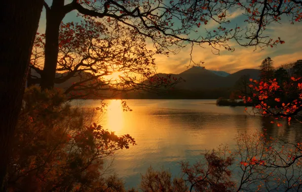Картинка осень, листья, деревья, горы, озеро, рассвет