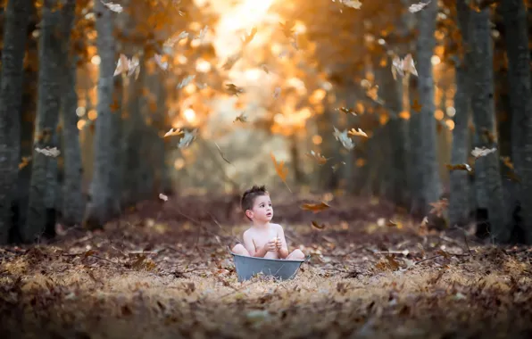 Картинка осень, природа, мальчик