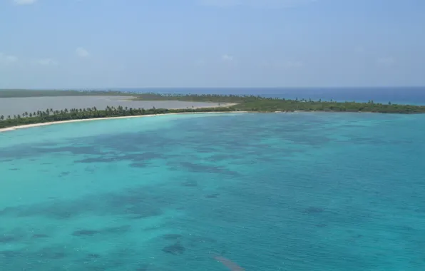 Море, пальма, пальмы, доминикана, доминиканская республика