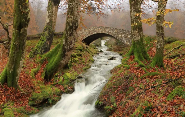 Осень, деревья, река, речка, Испания, Spain, каменный мост, Наварра