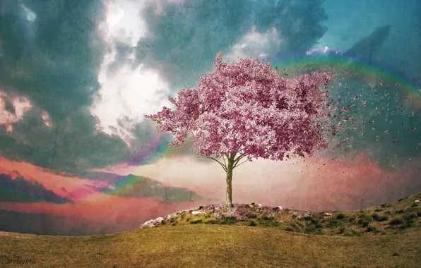 Картинка небо, ветер, радуга, акварель, цветение, фактура, розовое дерево