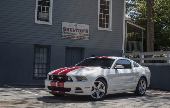 Mustang, Ford, Red, 5.0, White, Stripes