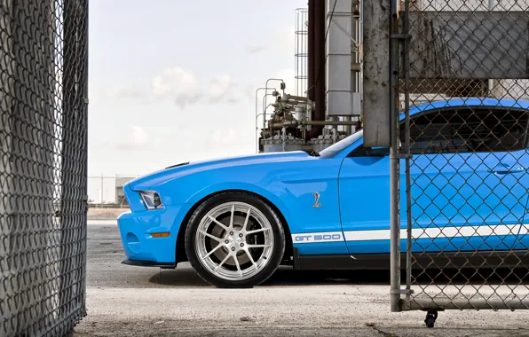 Картинка сетка, голубой, забор, Mustang, Ford, Shelby, GT500, мустанг