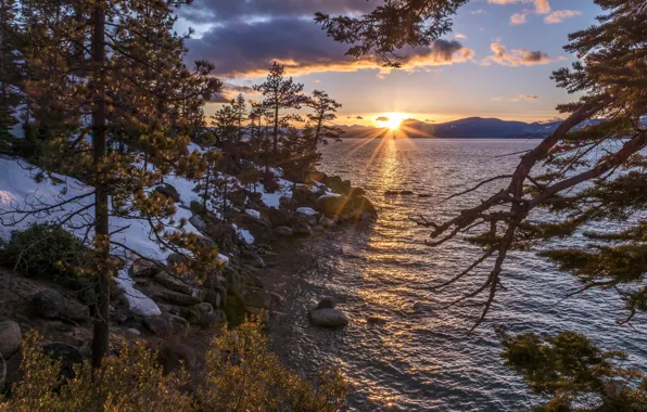 Снег, деревья, закат, озеро, Невада, Nevada, Lake Tahoe, озеро Тахо