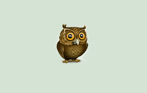 Картинка сова, минимализм, owl