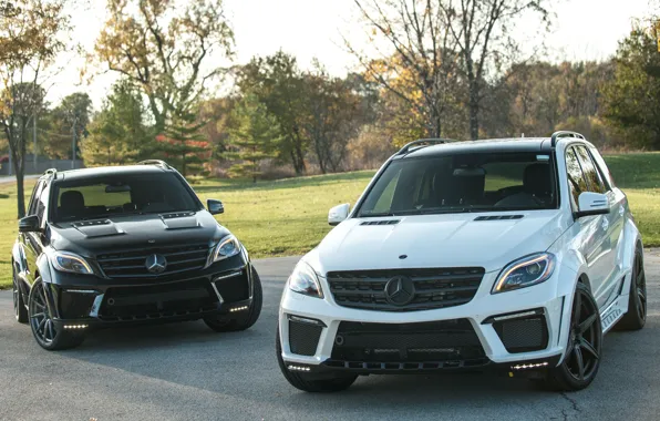 Mercedes-Benz, Inferno, TopCar, M-Klasse