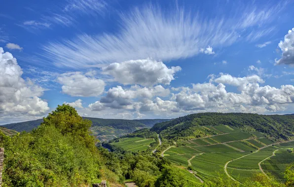 Небо, горы, ландшафт, Германия, germany, лес.