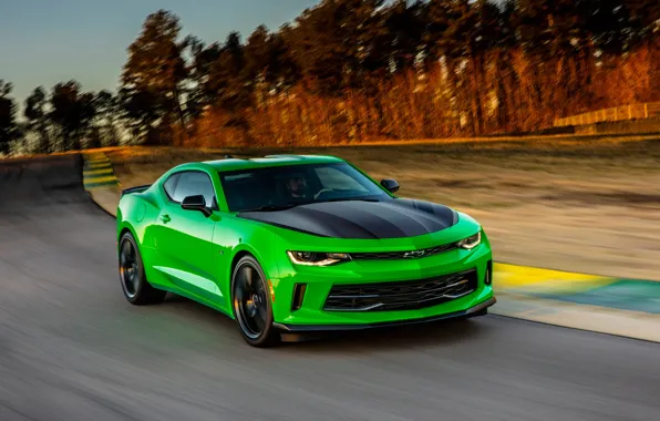 Car, green, Chevrolet, Camaro