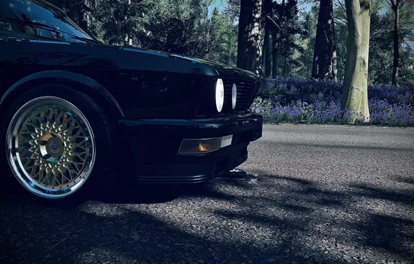 HDR, BMW, Wood, Front, Flowers, Spring, Game, E28