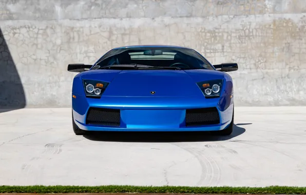 Lamborghini, Lamborghini Murcielago, Murcielago, lambo, front view
