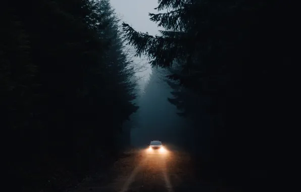 Машина, лес, свет, темнота, фары