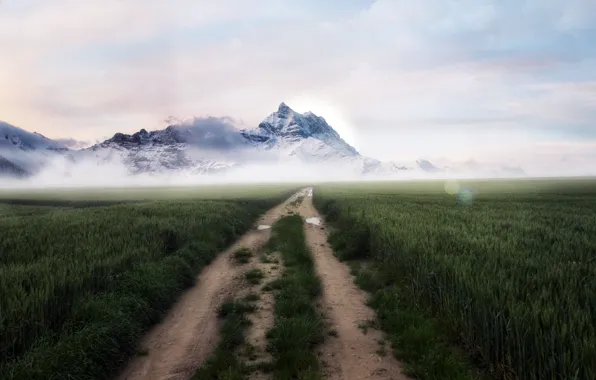 Дорога, поле, горы, туман