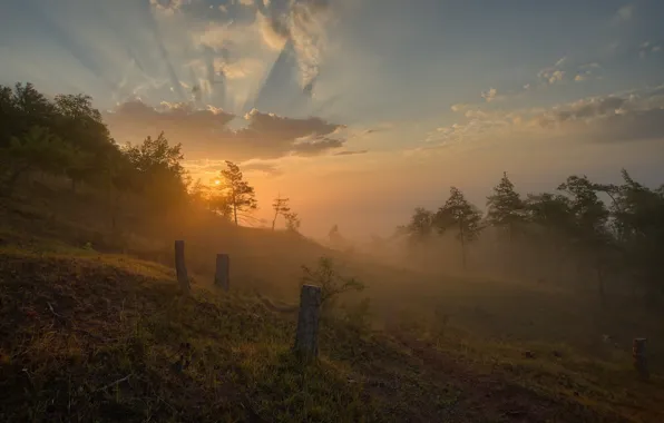 Картинка закат, природа, туман