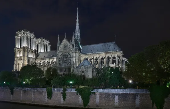 Картинка небо, деревья, ночь, огни, Франция, Париж, собор парижской богоматери
