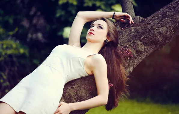Girl, Nature, Legs, Beautiful, Model, Tree, Body, White