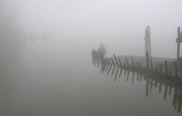 Картинка туман, берег, останки