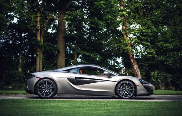 Авто, деревья, фон, McLaren, Coupe, 570S