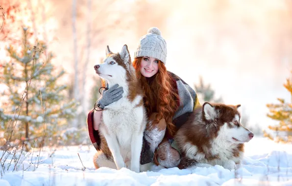 Картинка зима, собаки, девушка, снег, радость, улыбка, шапка, рыжая, хаски