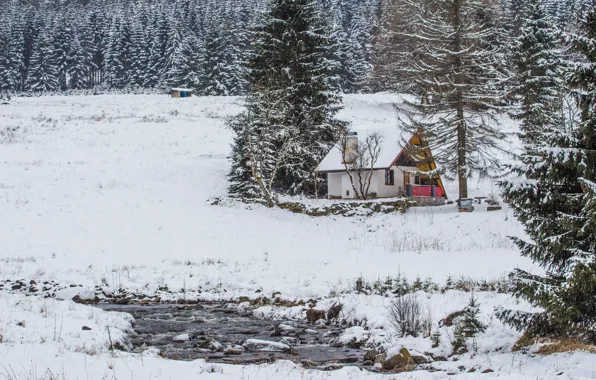 Картинка Зима, Лес, Домик, Мороз, Winter, Snow, Снежное Поле, Forest