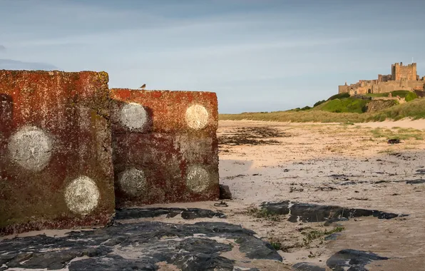 Картинка море, пейзаж, Bamburgh Castle