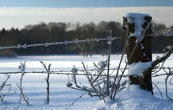 Зима, снег, пейзаж, забор