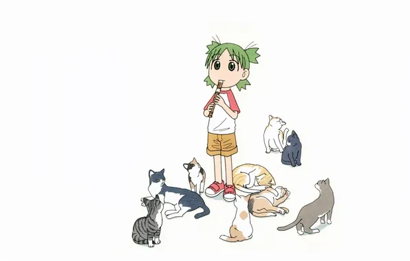 Кошки, котята, белый фон, флейта, зеленые волосы, в шортах, Yotsubato, кошатница