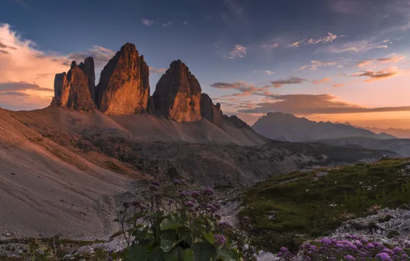 Картинка пейзаж, цветы, горы, природа, рассвет, растительность, утро, Италия