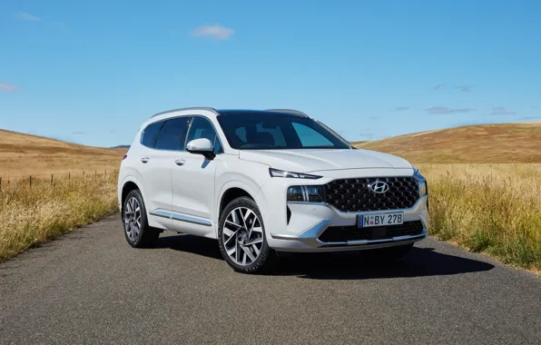 Hyundai, AU-spec, Santa Fe, Highlander, 2020, (TM)