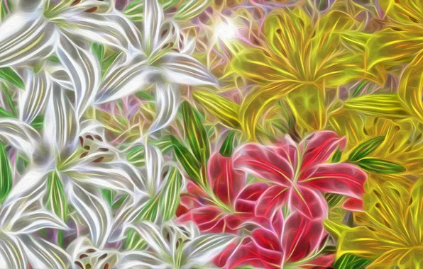 Kwiaty, Grafik