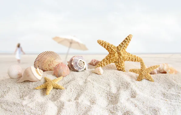Песок, пляж, ракушки, морская звезда, раковины