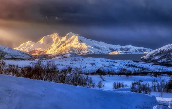 Картинка зима, снег, деревья, горы, рассвет, утро, Норвегия, Norway